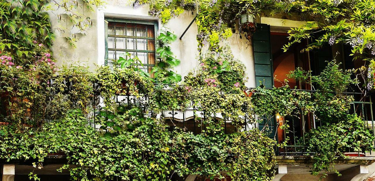 Venezia Ca' Dri Apartment Exteriér fotografie